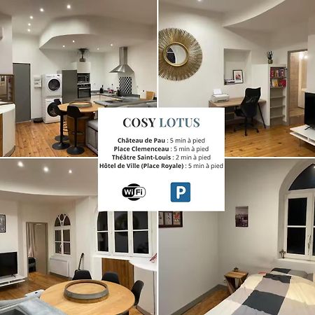 Cosy Lotus 1Ch - Place Verdun & Parking Pau Ngoại thất bức ảnh